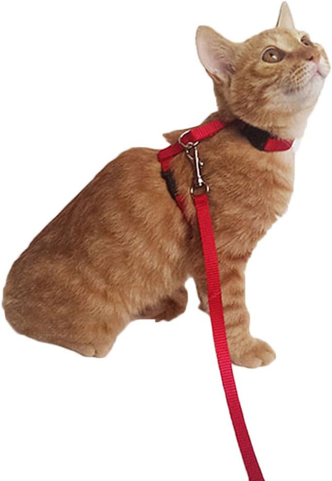 Arnés Liso Para Gato