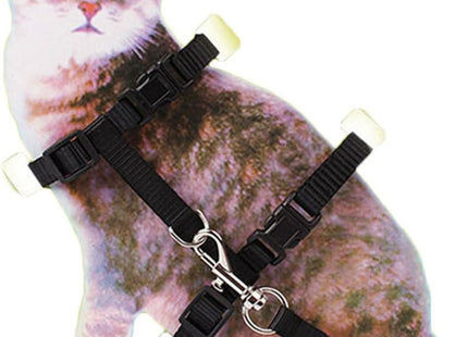Arnés Liso Para Gato