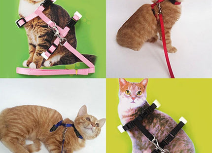 Arnés Liso Para Gato