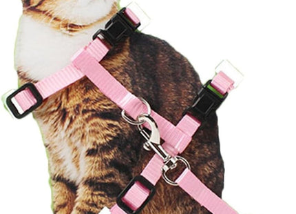 Arnés Liso Para Gato