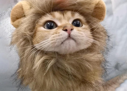 Disfraz De Melena De León Para Gatos