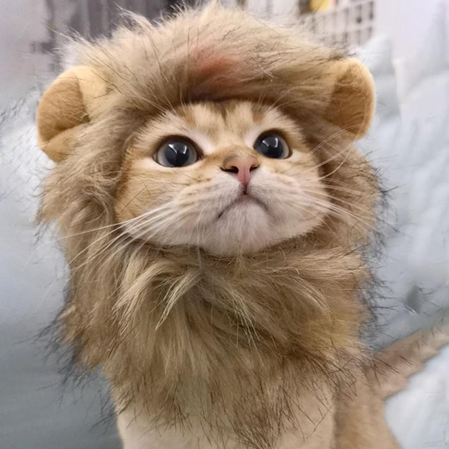 Disfraz De Melena De León Para Gatos