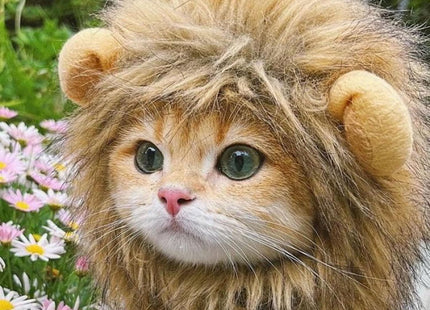 Disfraz De Melena De León Para Gatos