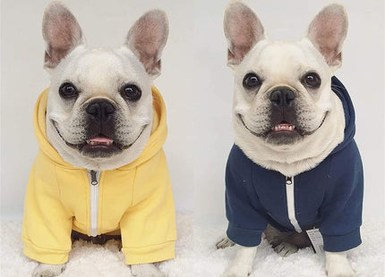 Buzo Deportivo Con Capucha Para Perro