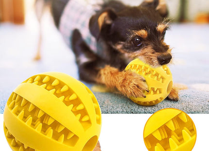 Pelota Para Perro Dispensadora y Limpiadora Dental