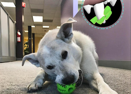 Pelota Para Perro Dispensadora y Limpiadora Dental