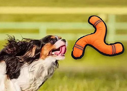 Juguete Volador Para Perros