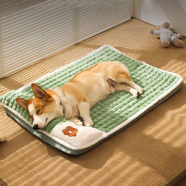 Cama Para Mascotas - Funda Desmontable