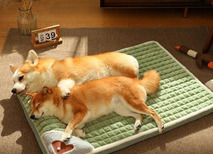 Cama Para Mascotas - Funda Desmontable