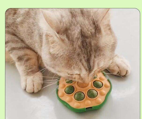 Juguete Interactivo Con Catnip Para Gatos