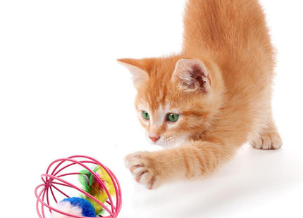Juguete Pelota Con Ratón Para Gato