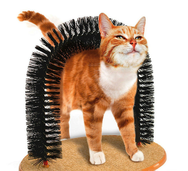 Juguete Arco rascador Para Gatos
