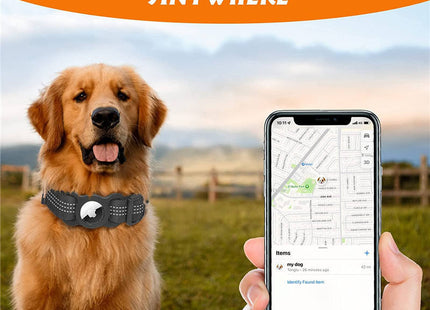 Collar Para Perro Con Soporte Para Airtag