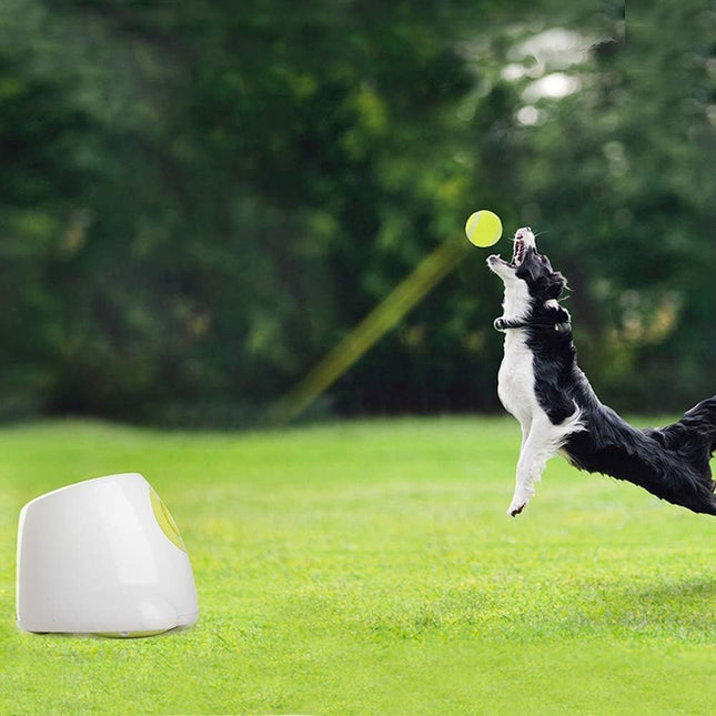 Lanzador Automático De Pelotas