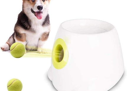 Lanzador Automático De Pelotas