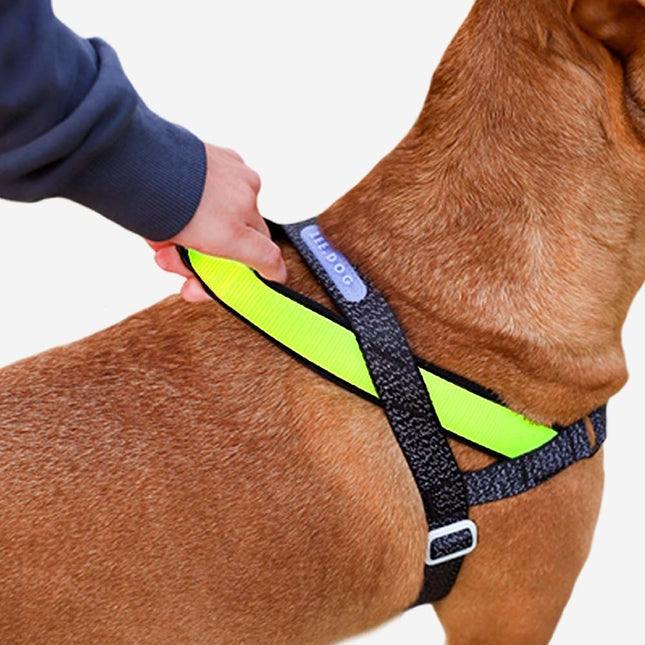 Arnés especial SofterWalk Anti tiro Zeedog Nox