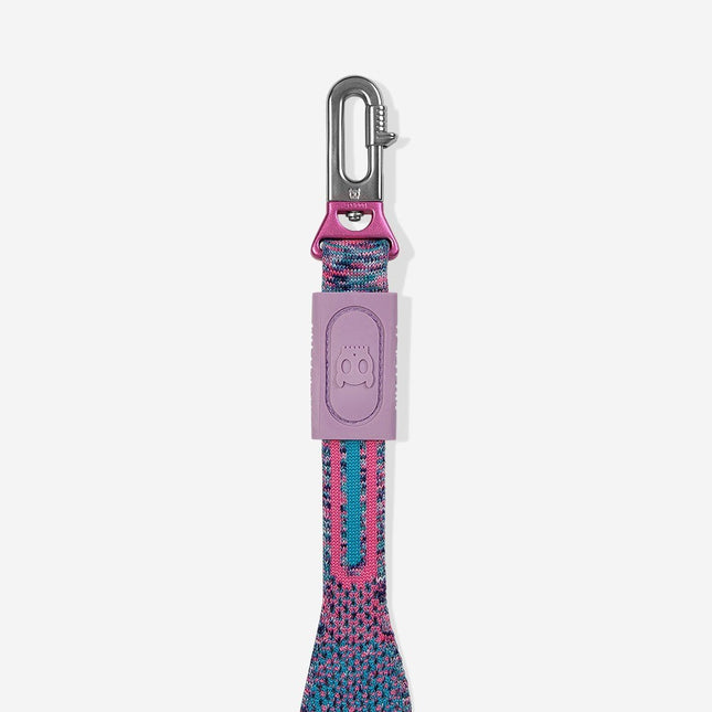 Correa Zeedog Candy