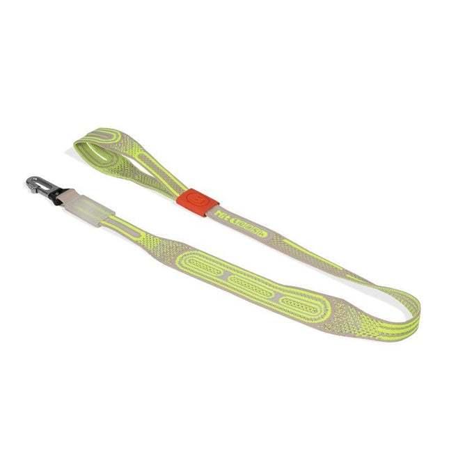 Correa Zeedog Nit Gluten