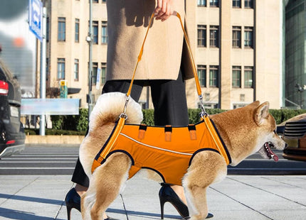 Arnés de elevación para perros