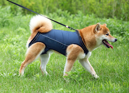 Arnés de elevación para perros