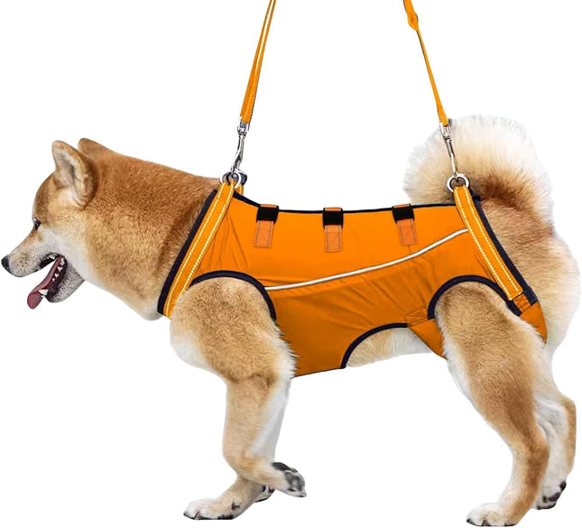 Arnés de elevación para perros
