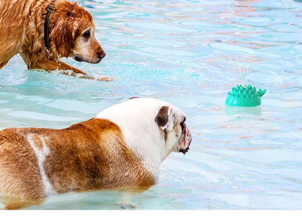 Juguete Interactivo Con Chorro De Agua