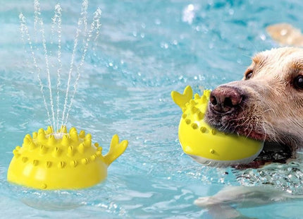 Juguete Interactivo Con Chorro De Agua