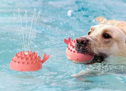 Juguete Interactivo Con Chorro De Agua