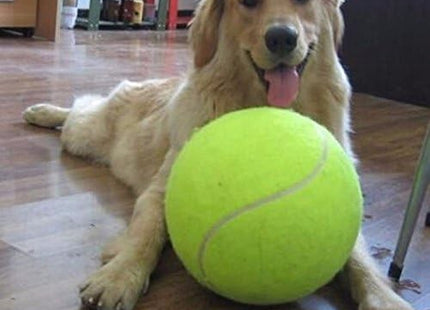 Pelota De Tenis Gigante