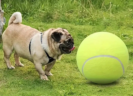 Pelota De Tenis Gigante