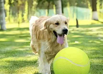 Pelota De Tenis Gigante