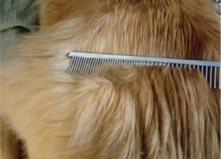 Peine De Acero Para Mascotas