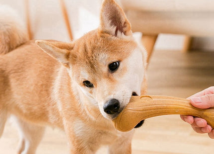 Juguete Masticable Para Perros