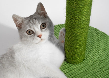 Poste Rascador De Cactus Para Gatos