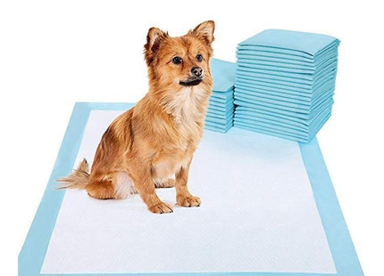 Set de pañales descartables para perro talle L