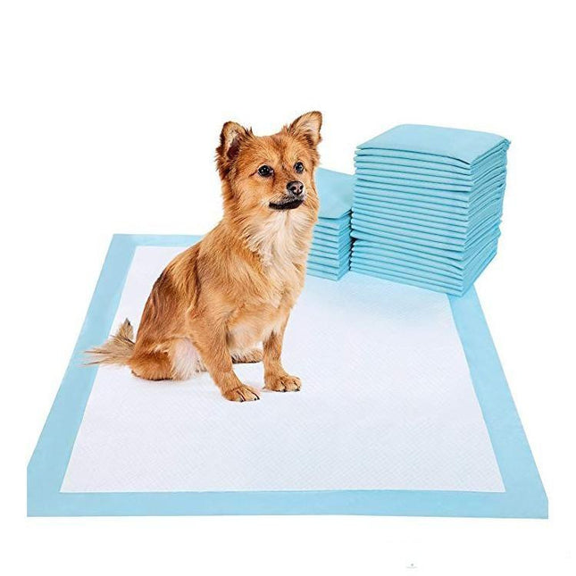 Set de pañales descartables para perro talle L