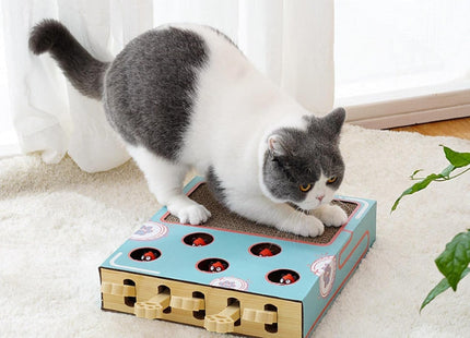 Rascador Interactivo Para Gatos