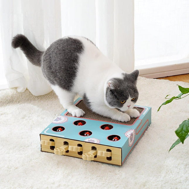 Rascador Interactivo Para Gatos
