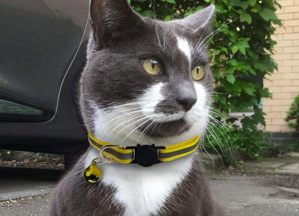 Collar Liso Con Cascabel Para Gato