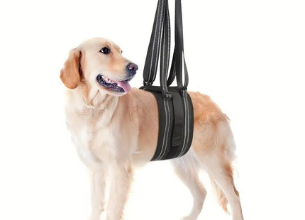 Arnés Faja De Elevación Para Perros