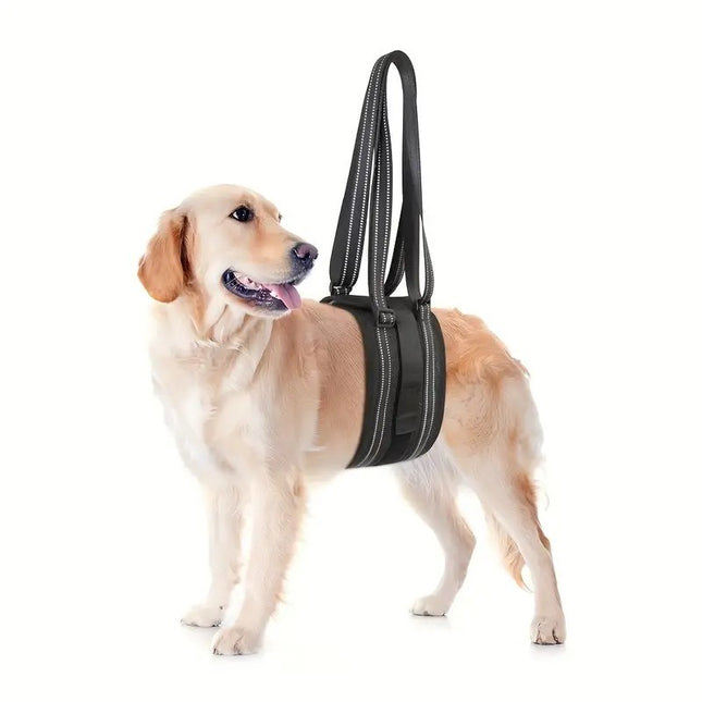 Arnés Faja De Elevación Para Perros