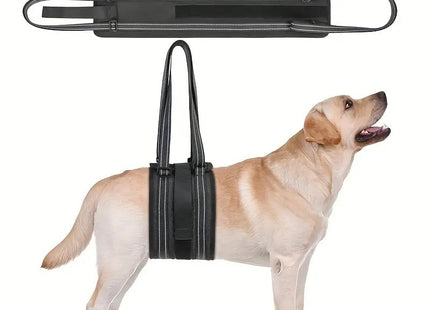 Arnés Faja De Elevación Para Perros
