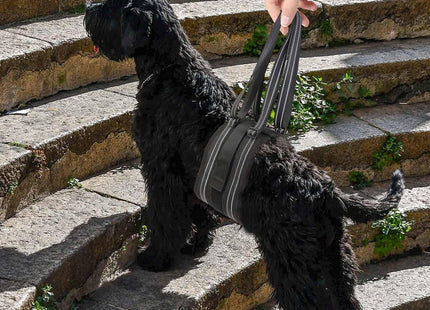 Arnés Faja De Elevación Para Perros