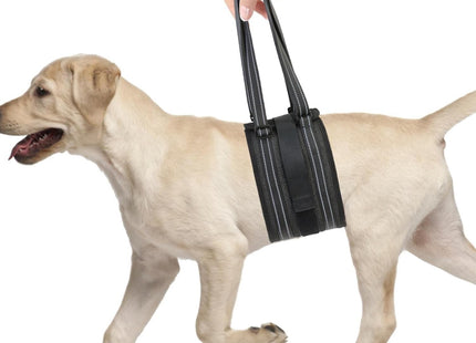 Arnés Faja De Elevación Para Perros