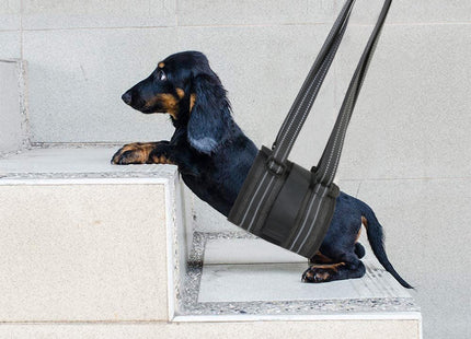Arnés Faja De Elevación Para Perros