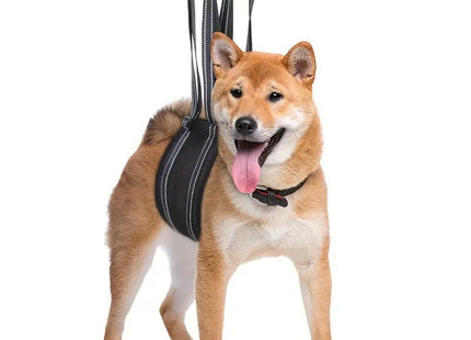 Arnés Faja De Elevación Para Perros