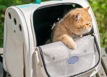 Mochila Transportadora