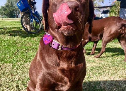 Chapita identificatoria Corazón