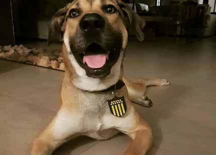 Chapita identificatoria Peñarol