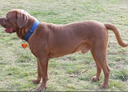 Chapita identificatoria Superman